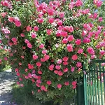 Alloggio per agriturismo Bio Apipoli