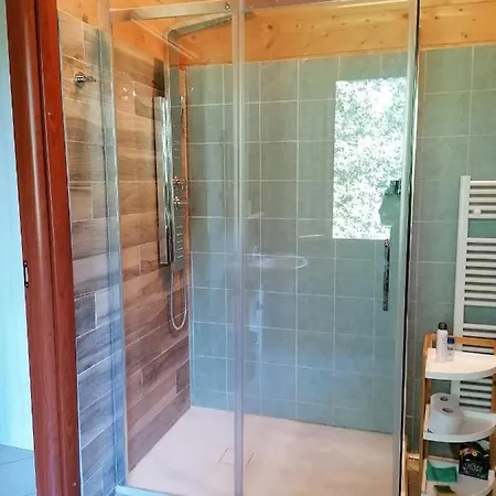 Bio Apipoli *