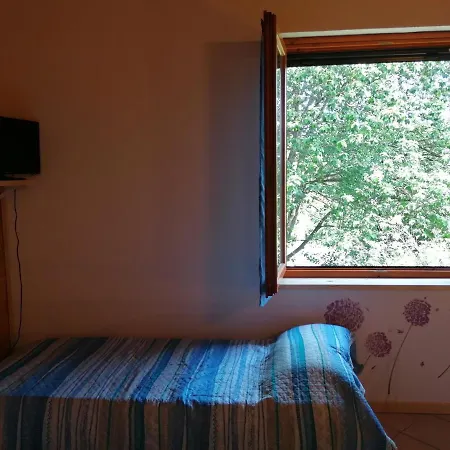 Bio Apipoli *